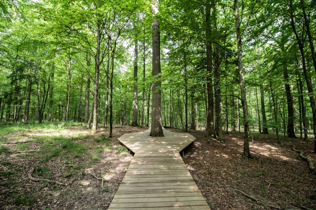 Nature Trails (Around your stay)